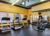 Thumbnail 29 of 35 - a gym with cardio equipment and weights on the floor