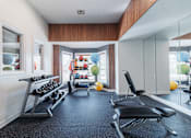 Thumbnail 31 of 42 - A gym with a row of dumbbells and a bench press.