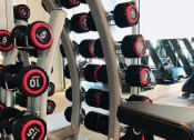Thumbnail 42 of 66 - Fitness Center Apartment Florida