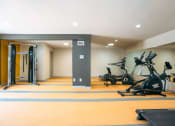 Thumbnail 22 of 27 - a workout room with weights and cardio equipment in a home gym