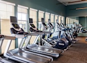 Thumbnail 10 of 14 - A row of treadmills and elliptical machines in a gym.