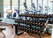 Thumbnail 11 of 14 - A gym with a rack of dumbbells and exercise machines.