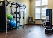 Thumbnail 12 of 14 - A gym with a punching bag, weights, and exercise balls.