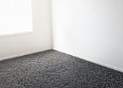 Thumbnail 16 of 20 - A room with a ceiling fan and carpeted floor.