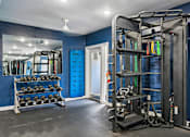 Thumbnail 90 of 107 - A gym with a blue wall and a mirror.