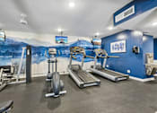 Thumbnail 91 of 107 - A gym with a blue wall and a painting of a mountain scene.