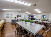 Thumbnail 9 of 18 - clubhouse with community table and shuffle board