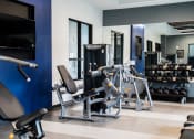 Thumbnail 27 of 36 - a gym with weights and cardio machines and a blue wall at The Century at Purdue Research Park-Student, West Lafayette, 47906