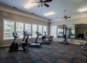 Thumbnail 5 of 32 - Fitness Center at The Reserve at Williams Glen Apartments, IN, 46077
