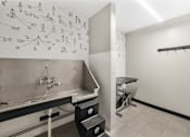 Thumbnail 18 of 27 - Dog wash at The Winds at Poplar Creek Apartments , Schaumburg, 60194