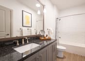 Thumbnail 50 of 53 - a bathroom with a gray vanity and a white bathtub