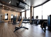 Thumbnail 34 of 53 - a large fitness room with cardio equipment and windows