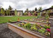 Thumbnail 6 of 25 - Garden Space at Bridge Meadows Beaverton 55+, Oregon