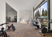 Thumbnail 15 of 38 - Arlo- Gym equipment at THE ARLO, Citrus Heights, California