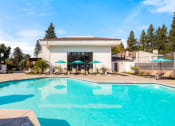 Thumbnail 29 of 38 - Pool with Lounge Chairs and Umbrellas Around It at THE ARLO, Citrus Heights