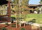 Thumbnail 4 of 25 - Green Space With Gazebo at Bridge Meadows Beaverton 55+, Beaverton Oregon