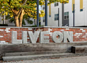 Thumbnail 44 of 81 - a brick wall with the word live on it in front of a building
