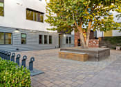 Thumbnail 50 of 81 - a courtyard with a tree and a bench in front of a building