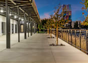 Thumbnail 52 of 81 - a long sidewalk with trees and a building in the background
