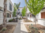 Thumbnail 6 of 41 - the enclave at homecoming terra vista walkway at THE ANGELINO, Sacramento, CA 95819