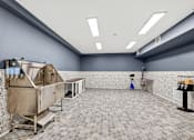 Thumbnail 14 of 21 - Pet grooming area at Vintage at Marine View Senior 55+ Apartments, Everett