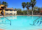 Thumbnail 4 of 10 - Pool with lounge chairs at Bristol Bay, Tampa, FL