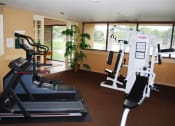 Thumbnail 6 of 14 - Gym with cardio and weight  fitness equipment at Cross Keys, Florida, 33068