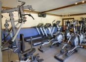 Thumbnail 4 of 9 - Gym with cardio fitness equipment at Doral Terrace, Doral, 33178