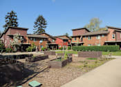 Thumbnail 10 of 16 - Community Garden at Bridge Meadows North Portland 55+, Portland