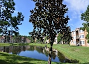 Thumbnail 1 of 11 - lake views and mature landscaping at The Edge at Town Center Apartments, Florida