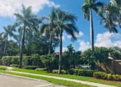 Thumbnail 14 of 19 - Landscape near road at Golden Lakes, Miami, 33169