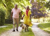 Thumbnail 3 of 21 - Senior couple walking their dog outside at DOVER WOODS SENIOR APARTMENTS, Fairfield, 94533