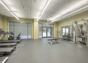Thumbnail 14 of 34 - Fitness Center Equipped With Cardio Machines, Weights, Strength Machines, And Workout Bench at FARM BY VINTAGE, MILL CREEK, 98012