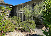 Thumbnail 5 of 19 - Courtyard Walking Path at Via Casitas, Greenbrae, CA