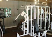 Thumbnail 8 of 15 - fitness center at Mission Bay Apartments, Florida