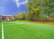 Thumbnail 27 of 39 - A green turf soccer field with white lines and fallen leaves.
