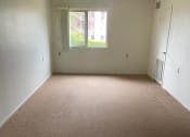 Thumbnail 5 of 5 - a room with a carpeted floor and a window