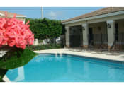 Thumbnail 4 of 7 - Pool with lounge chairs  at Bonita Pointe, Florida, 33034