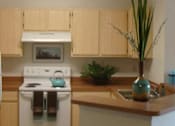 Thumbnail 16 of 21 - Kitchen with appliances at Carolina Club Apartments, Daytona Beach, Florida