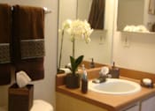 Thumbnail 21 of 21 - Bath sink vanity at Carolina Club Apartments, Daytona Beach, FL, 32114