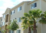 Thumbnail 3 of 9 - Exterior building with trees at Clipper Bay, Tampa, FL