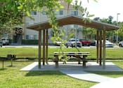 Thumbnail 2 of 9 - BBQ Area at Clipper Bay, Florida, 33616