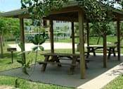 Thumbnail 6 of 15 - Covered seating by BBQs at Hawk's Landing Apartments, Fort Myers, FL, 33907
