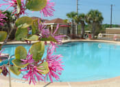 Thumbnail 11 of 14 - Pool with lounge chairs at Hunters Run, Middleburg, 32068