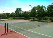 Thumbnail 15 of 19 - Tennis Court at Indian Trace, Florida , 33407?