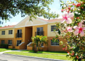 Thumbnail 1 of 14 - Marbrisa Apartments community exterior and walkways with palm trees at Marbrisa Apartments, Florida