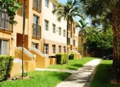 Thumbnail 2 of 14 - Marbrisa Apartments community exterior and walkways with palm trees at Marbrisa Apartments, Miami Gardens, FL