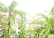 Thumbnail 6 of 14 - Trees at Villa Hermosa, Miami, FL