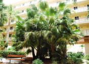 Thumbnail 9 of 14 - Greenery at Villa Hermosa, Miami, FL