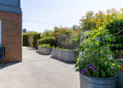 Thumbnail 5 of 27 - a patio with plants and a bench and a brick building
